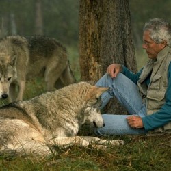 Да живееш сред вълци