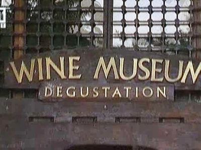 музей на виното Плевен