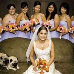 Как да изпортиш сватбената снимка