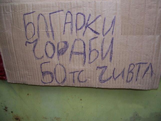 смешни надписи