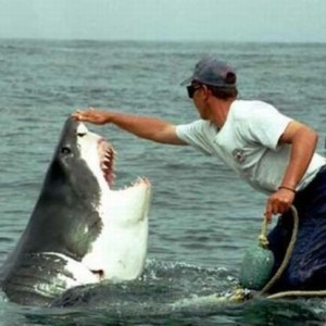 Изумителна история за любов между акула и човек