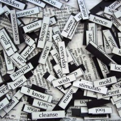 12 думи, които най-вероятно не знаеш