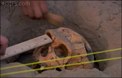 археолог череп