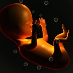Записки на нероденото