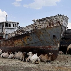 Паметници и обекти, които не са си намерили мястото