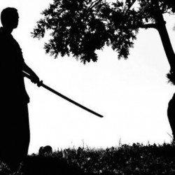Мъдрият самурай