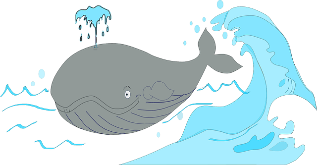 кит фонтан