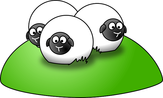овчици