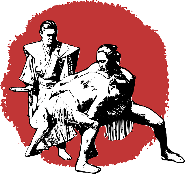 Да научим малко повече за японската борба • Сумото е
