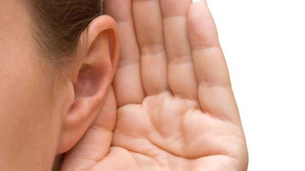 човешко ухо