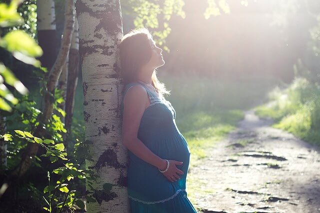 бременна жена дърво