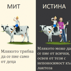 10 мита за напитките, които смело забравете