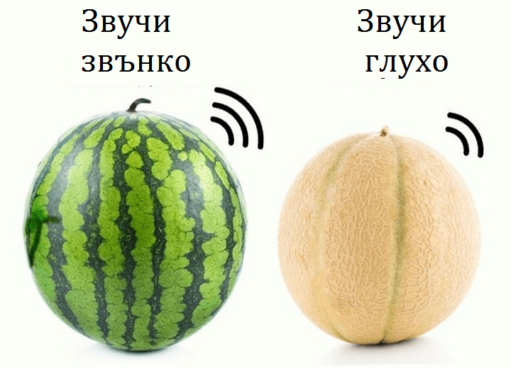 диня и пъпеш