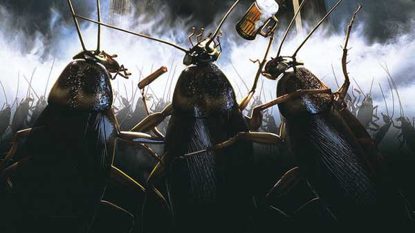   Хлебарките са отвратителни създания и тяхната поява в кухнята