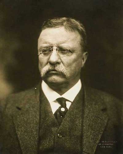 По време на предизборната си кампания през 1912 година Теодор