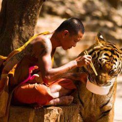 Как да изчистите дома си от мръсотията: 7 съвета на будистки монах