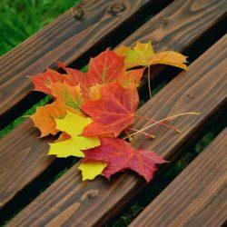 9 причини да се радвате на есента