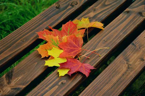 есенни-листа-върху-пейка