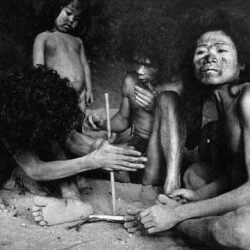 Племето тасадаи: една от най-големите афери на 20 век