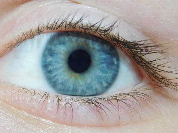синьо-око