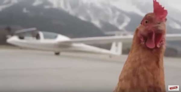кокошка-самолет