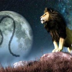 14 причини защо Лъвът е една от най-хубавите зодии