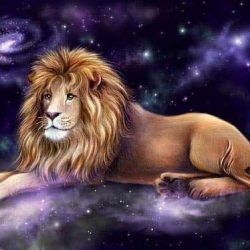 35 факта за Лъва, които доказват защо са топ зодия