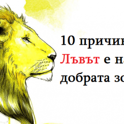 10 причини защо Лъвът е най-добрата зодия