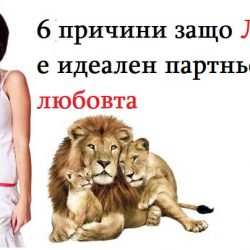 6 причини защо Лъвът е идеален партньор в любовта