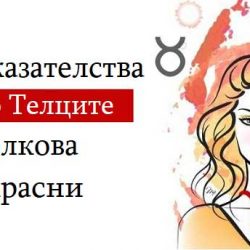 Телците са прекрасни и тези 9 факта за тях ще ви убедят в това