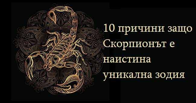 10-причини-защо-Скорпионът-е-наистина-уникална-зодия