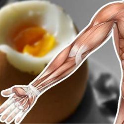 13 чудесни неща, които ще се случат с тялото ви, ако ядете яйца всеки ден