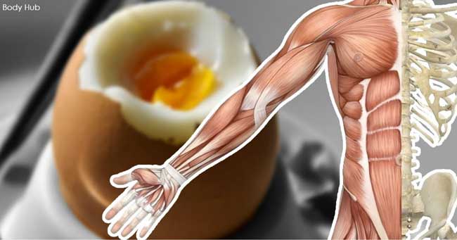 Яйцата за закуска са популярни в много страни по света.