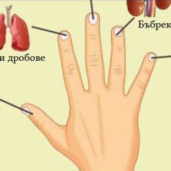 Всеки пръст е свързан с два органа: японски метод за самолечение за 2 минути