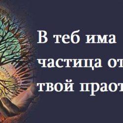 В теб има частица от предците ти от последните 7 поколения