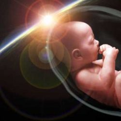 Зараждане и развитие на бебето в корема на мама: 9 месеца в 3 минути видео