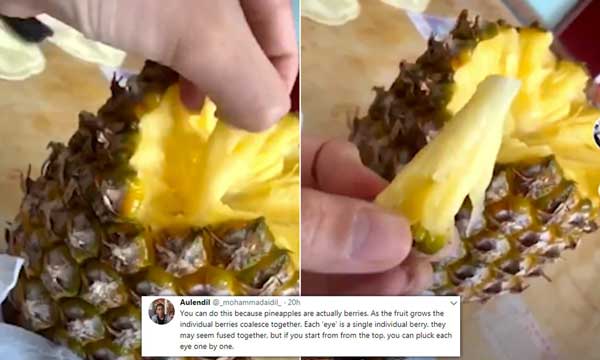 видео-как-се-яде-ананас