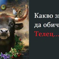 Какво значи да обичате Телец…