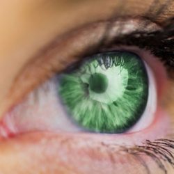 7 особености на хората, надарени със зелени очи
