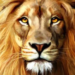 5 забавни факта за Лъвовете