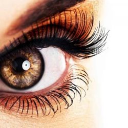 Хората с кафяви очи са най-интересните същества, които познавате