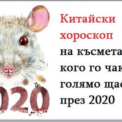 Китайски хороскоп на късмета: ето кого го чака голямо щастие през 2020