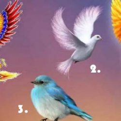 Изберете птица и разберете каква новина ви чака в близко време