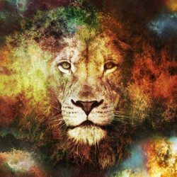 12 причини защо Лъвът е най-добрата зодия