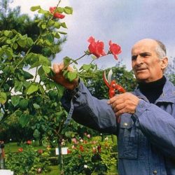 Луи дьо Финес и неговите рози