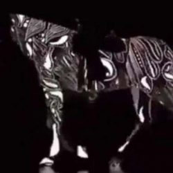 Накъде върви конят? Оптична илюзия, която ще покаже как работи мозъкът ви