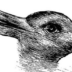 Патица или заек виждате? Отговорът разкрива нещо важно за мозъка ви