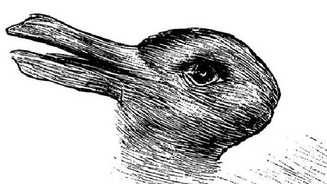 илюзия-патица-или-заек