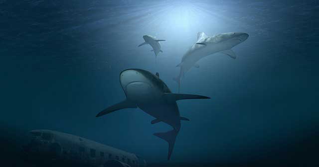 1. Най-древните представители на акулите са съществували преди около 420-450